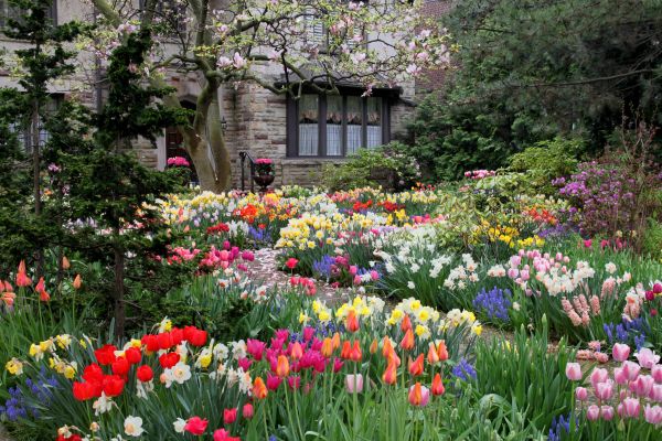 Garden Maintenance Service in New York