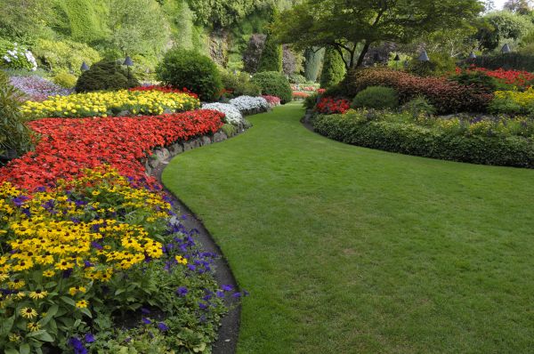 Landscaping Maintenance in New York