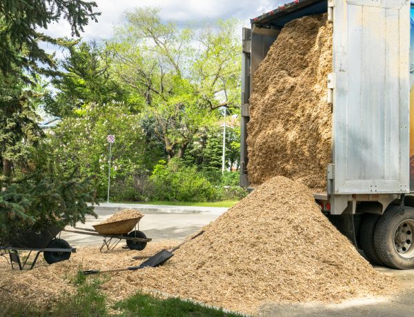 Wood Chips Delivery in New York