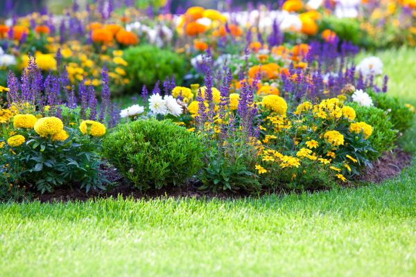 Garden Installation in New York