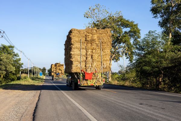 Pine Straw Delivery in New York