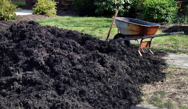Black Mulch Delivery in New York