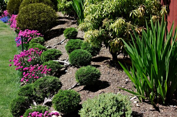Residential Gardening in New York
