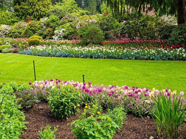 Residential Landscape Design in New York