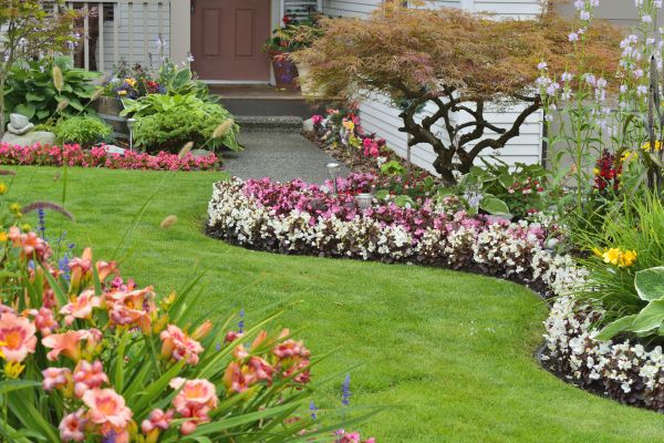 Perennial Landscaping in New York