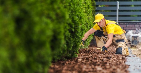 Cypress Mulch Installation in New York