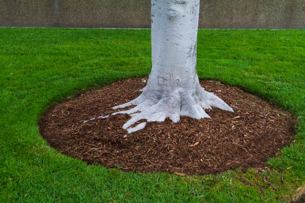 Brown Mulch Installation in New York