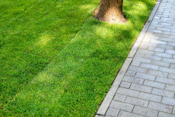 Border Stone Installation in New York