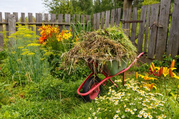 Garden Cleanup Service in New York