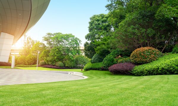 Business Landscape Design in New York
