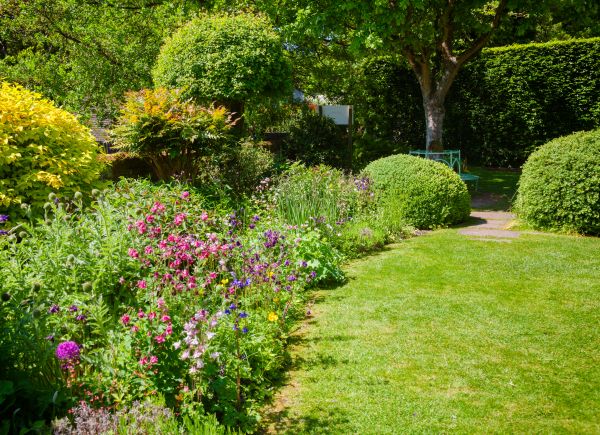Yard Landscaping Service in New York
