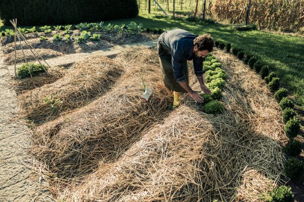 Straw Mulching Service in New York