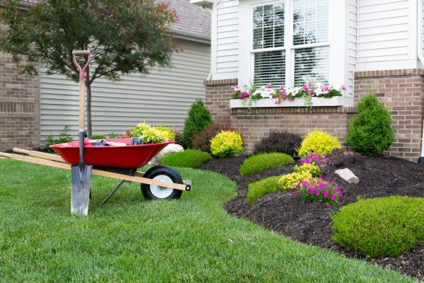 Tree And Shrub Planting in New York