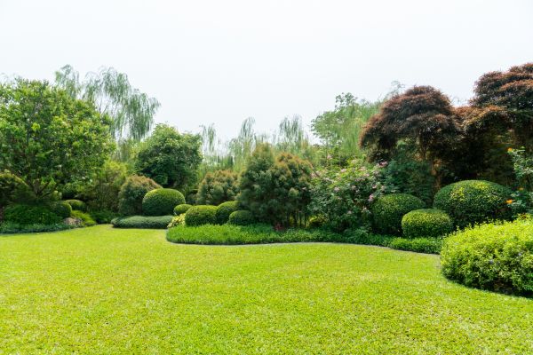 Tree Landscaping in New York