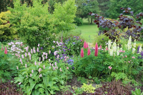 Flower Bed Planting in New York