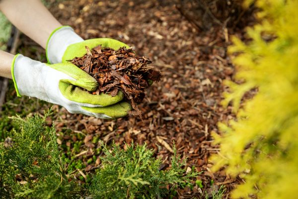 Garden Mulch Delivery in New York