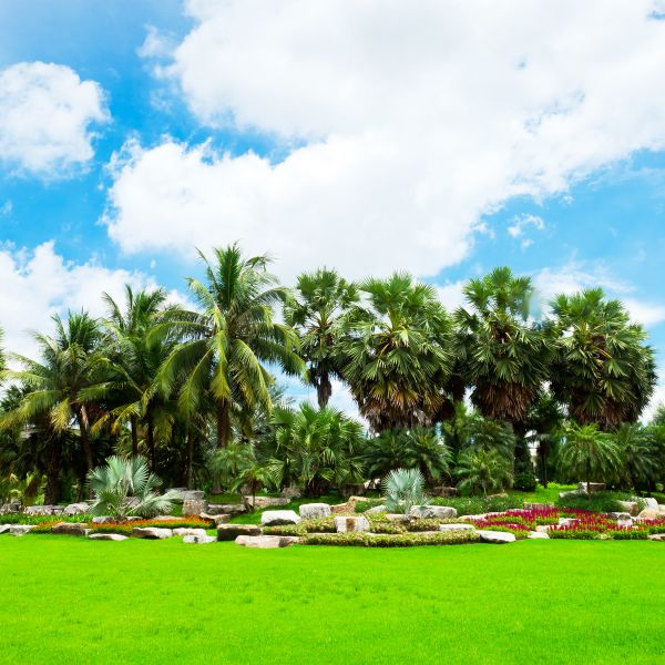 Tropical Landscaping in New York