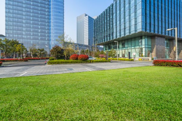 Industrial Landscaping Service in New York