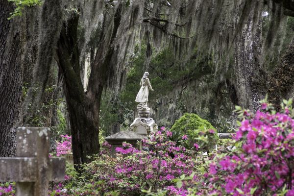 Cemetery Landscaping in New York