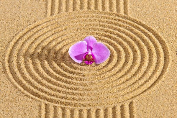 Sand Garden Landscaping in New York