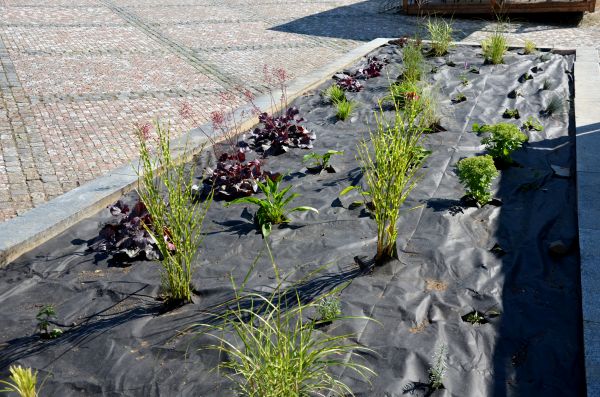Landscape Fabric Installation in New York