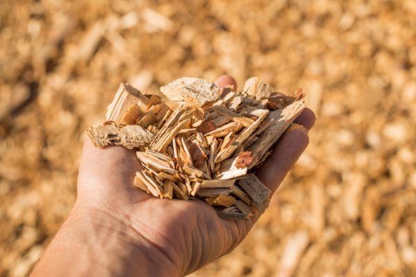 Wood Chips Spreading in New York