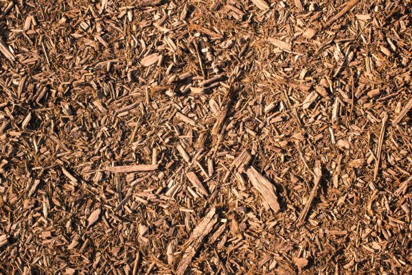 Wood Chips Removal in New York