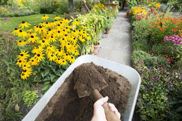 Topsoil Replacement in New York
