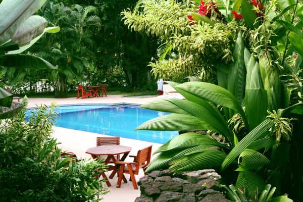Pool Area Landscaping in New York