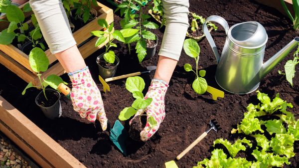 Garden Bed Installation in New York