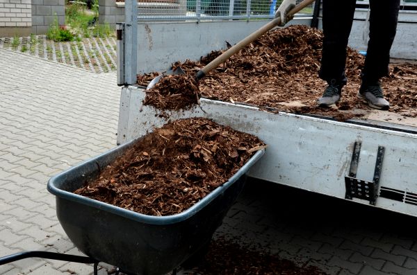 Cedar Mulch Delivery in New York