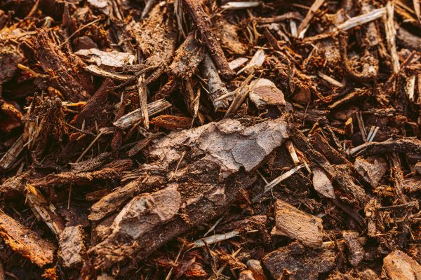 Bark Mulch Delivery in New York
