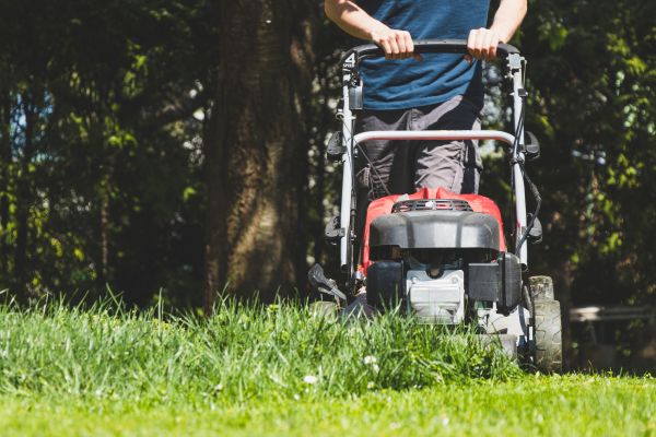 Garden Trimming Service in New York