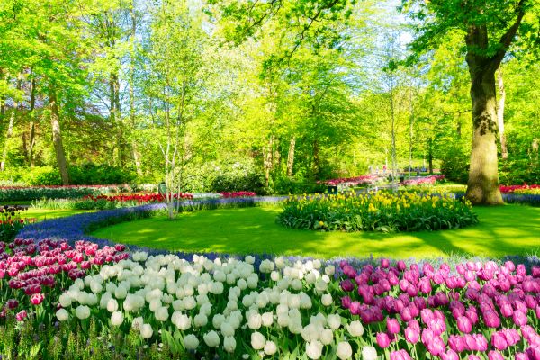 Flower Landscaping in New York