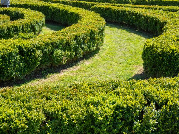 Bush Landscaping in New York