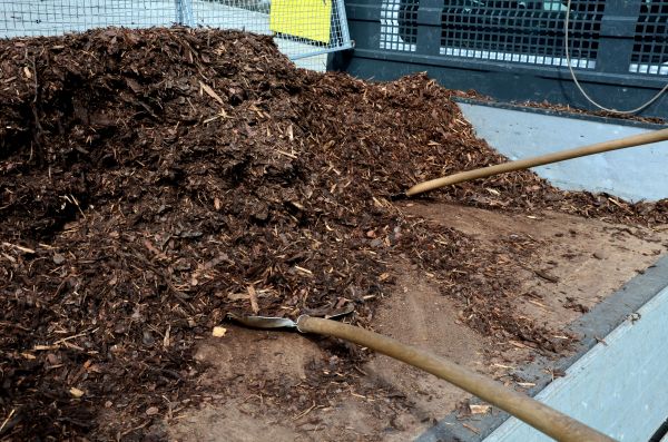 Cedar Bark Delivery in New York