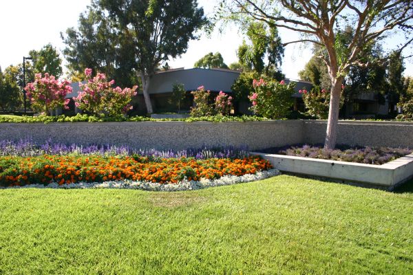 Commercial Landscape Service in New York