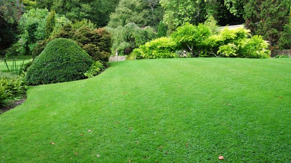 Commercial Landscape Design in New York