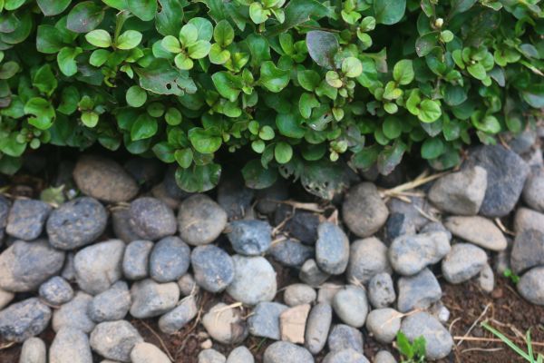 River Stone Installation in New York