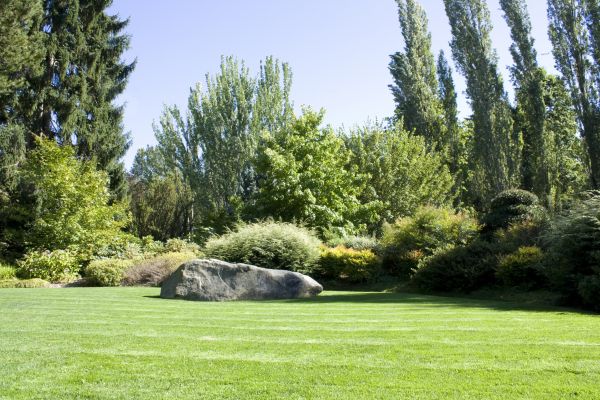 Yard Enlargement in New York