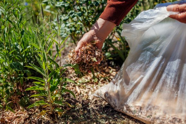 Wood Mulch Installation in New York