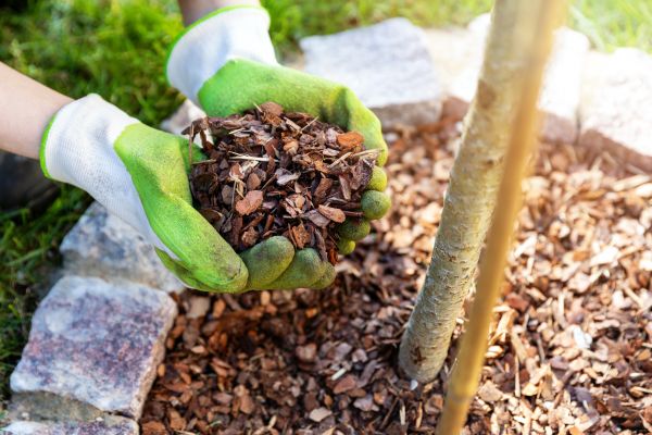 Tree Bark Delivery in New York