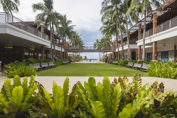 Commercial Lawn Renovation in New York