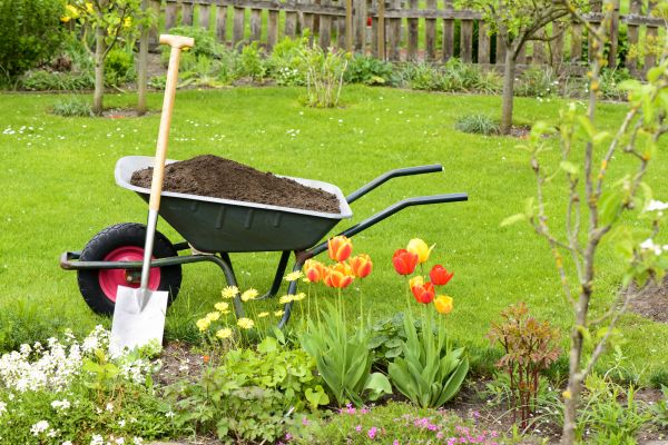 Spring Yard Renovation in New York