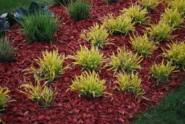 Red Mulch Installation in New York