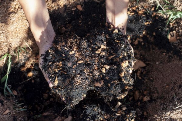 Organic Mulch Installation in New York