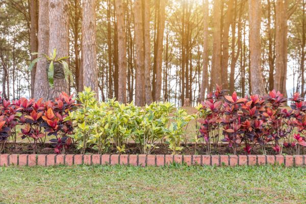 Small Garden Landscaping in New York