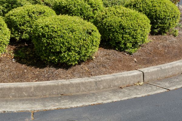 Pine Mulch Installation in New York