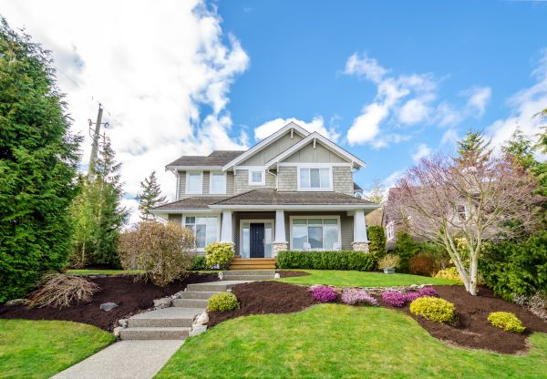 Landscaping Replacement in New York