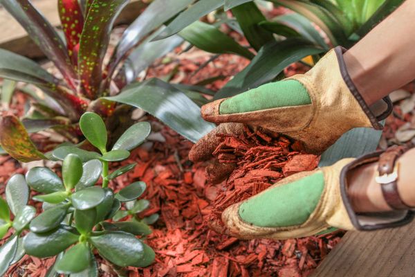 Residential Mulching in New York
